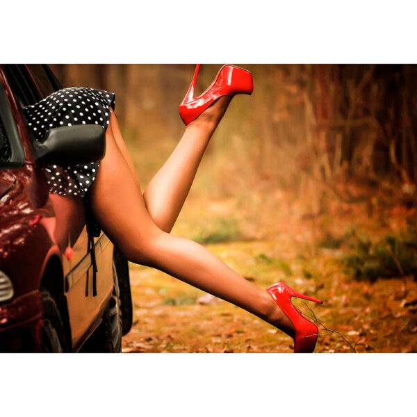 DIAMANTOVÉ MALOVÁNÍ - AL9 - 70x50 cm