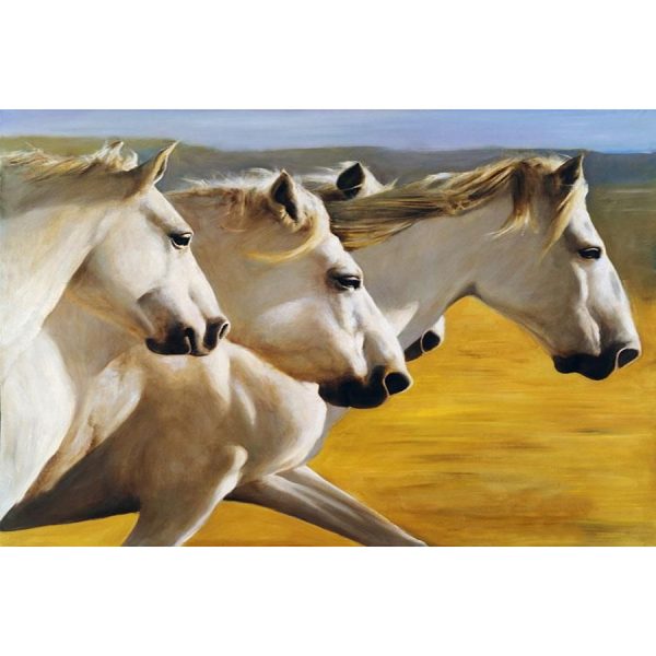 DIAMANTOVÉ MALOVÁNÍ - Z0156 - 45x65 cm