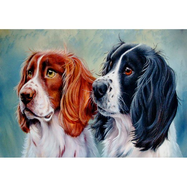 DIAMANTOVÉ MALOVÁNÍ - Z0251 - 45x65 cm