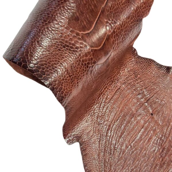 Pštrosí kůže / Ostrich Legs