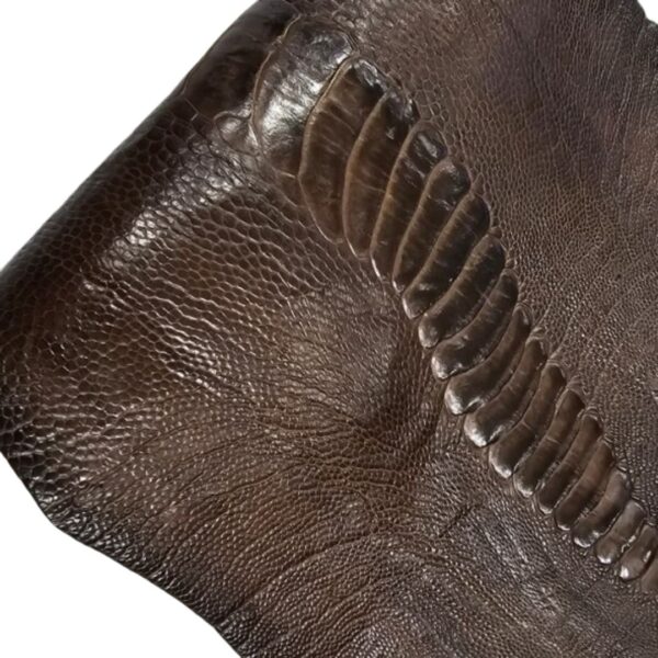 Pštrosí kůže / Ostrich Legs